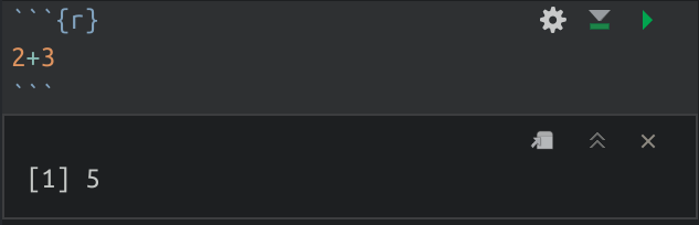 Icon for running a code chunk